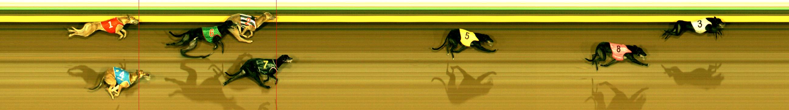 Race result finish photo